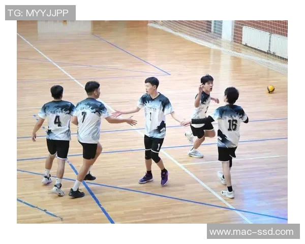 上海排球队的默契配合与战术探讨聚焦排球的团队精神与协作能力