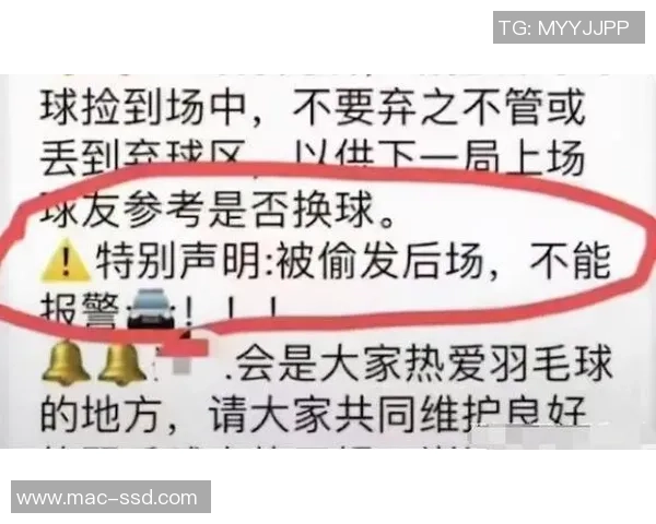 深圳羽毛球队进攻策略分析与得失总结探讨