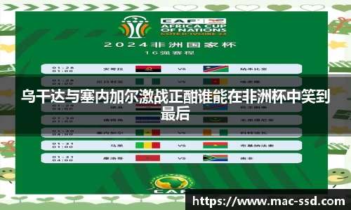 w66国际